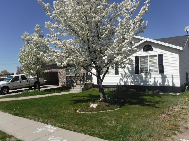 Swingers in woods cross ut