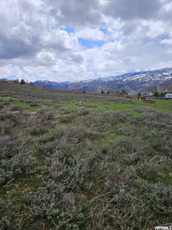 Photo #32