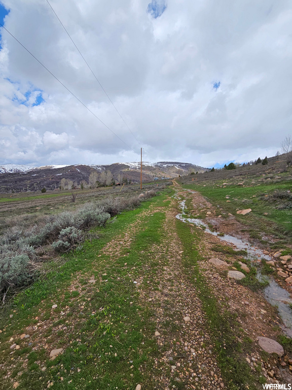 Photo #34