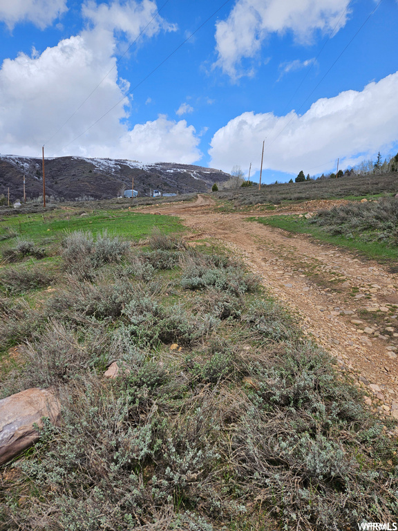 Photo #41