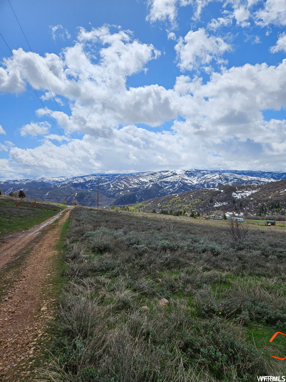 Photo #28