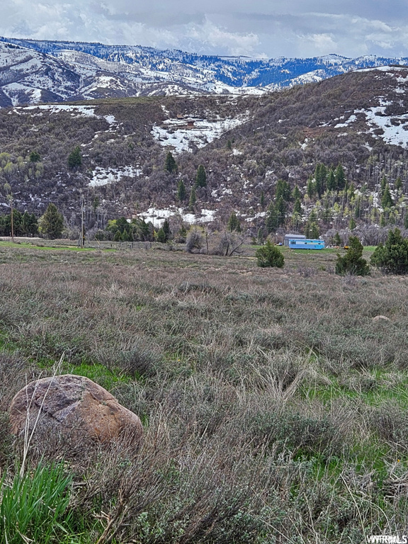 Photo #38