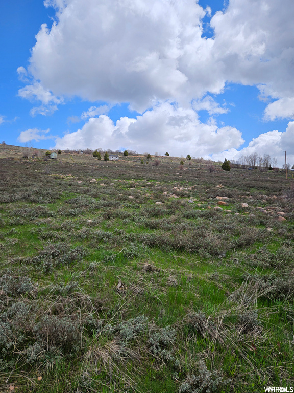 Photo #33
