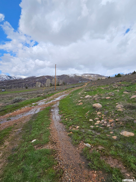 Photo #42