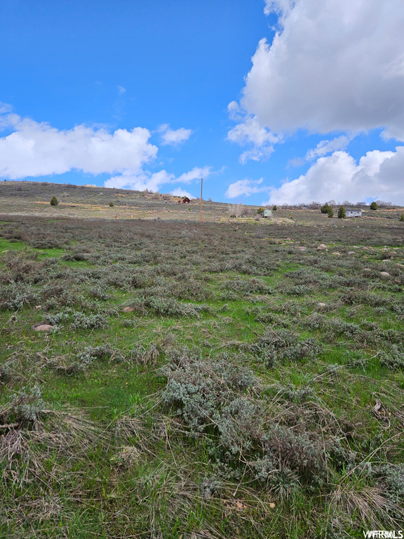 Photo #31