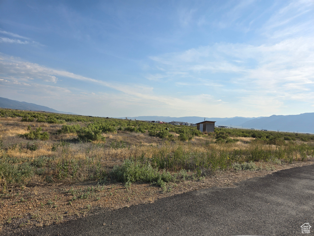 Photo #24