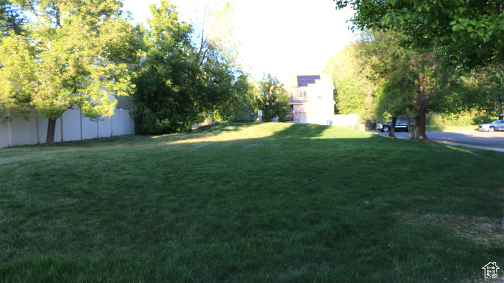 Photo #33