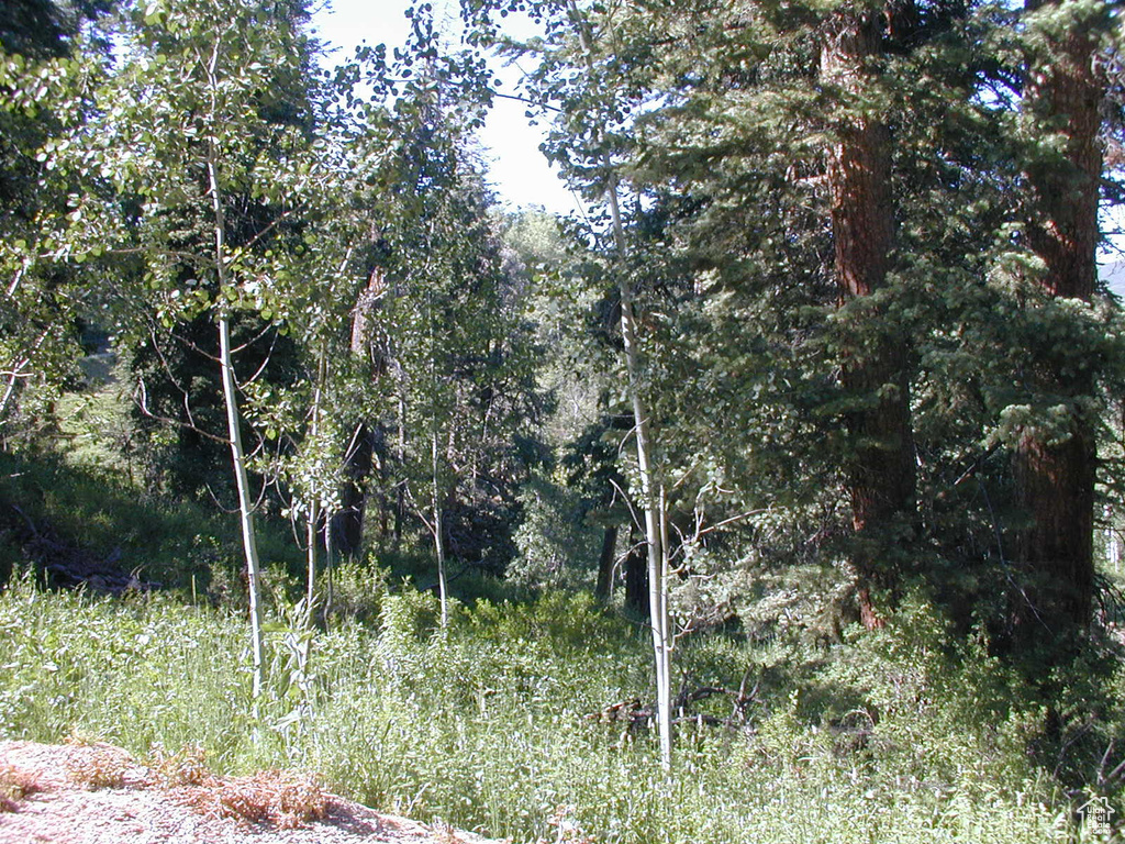 Photo #10