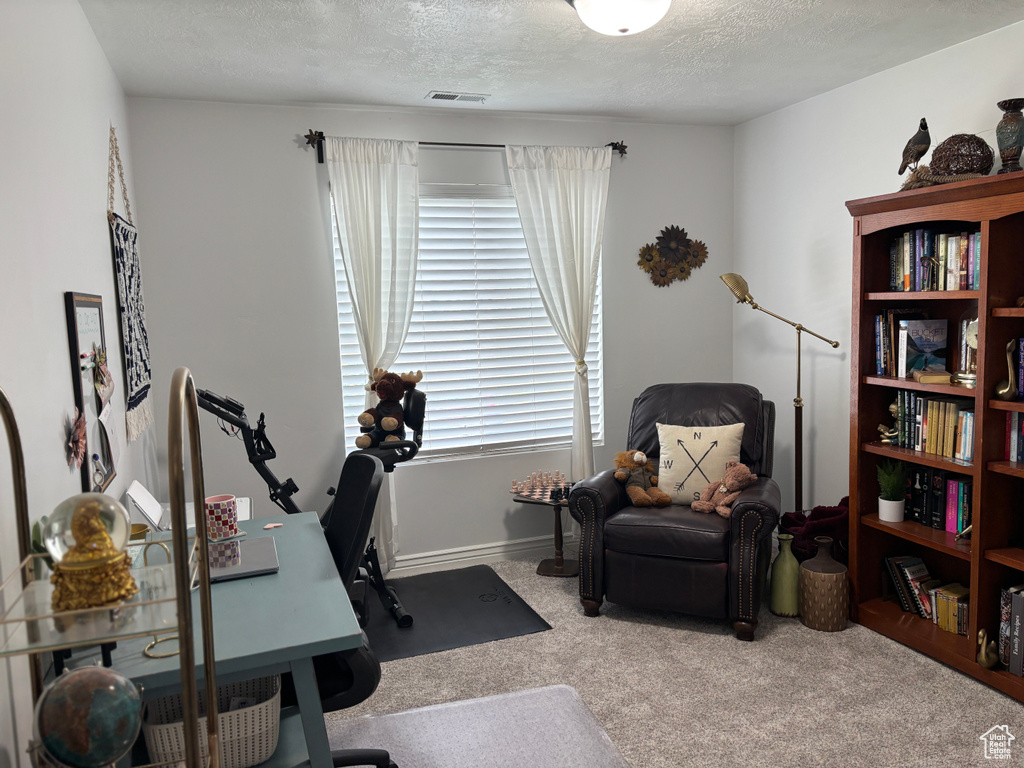 Photo #32