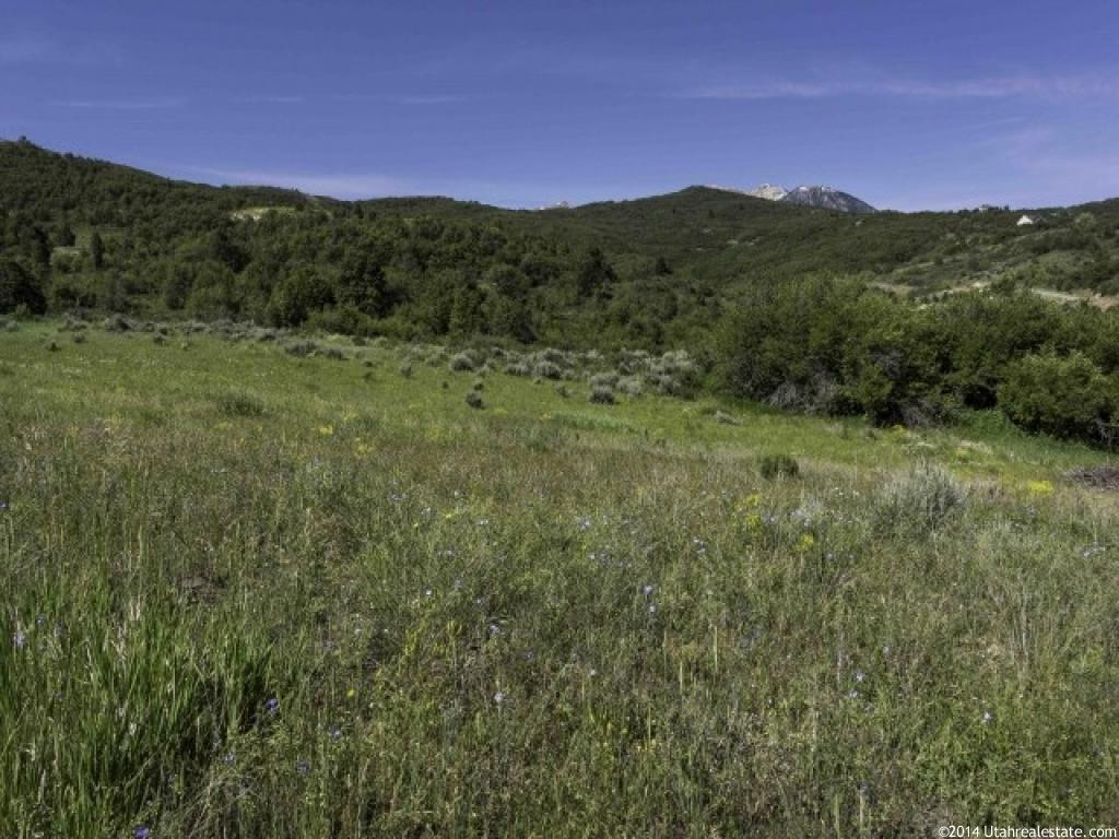 6481 E Summit Cv S #37, Huntsville, UT 84317