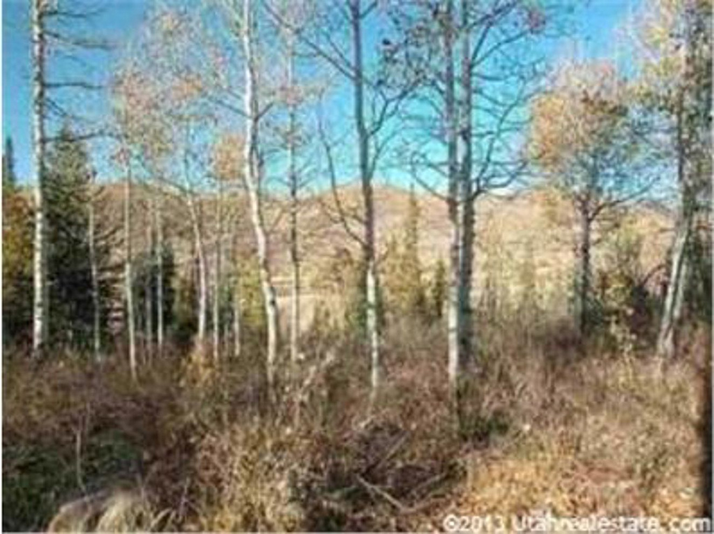 22 Uncompahgre Dr #22, Oakley, UT 84055