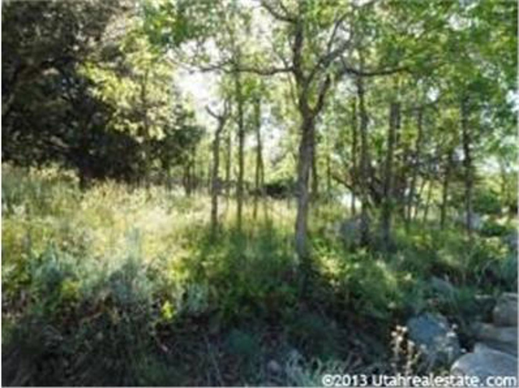 #3, Pine Valley, UT 84781