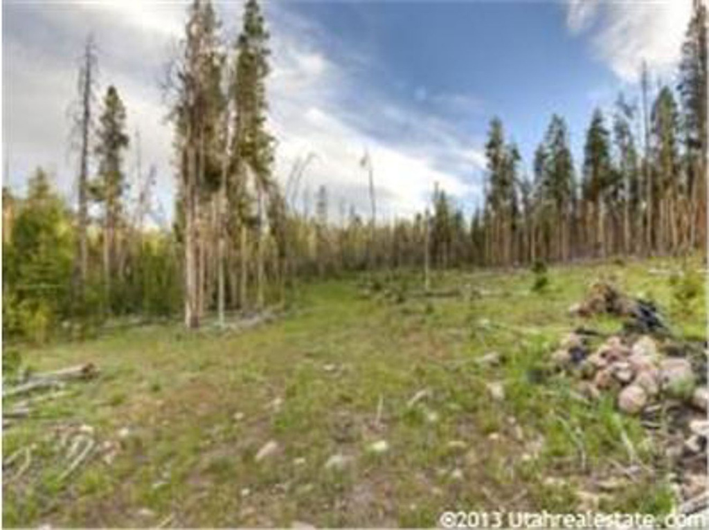 1171 Hayden #5, Kamas, UT 84036