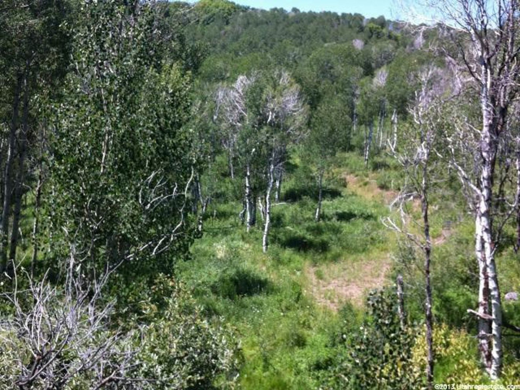 9 Aspen Rdg #9, Wanship, UT 84017