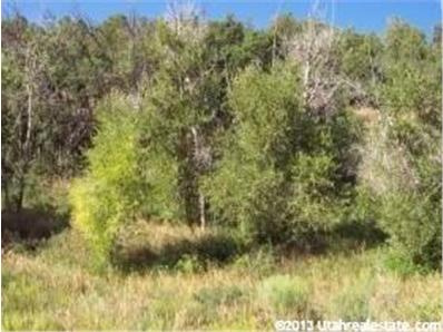 #29, Tabiona, UT 84072