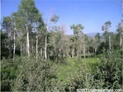 2012 W Modoc Loop S #61, Wanship, UT 84017