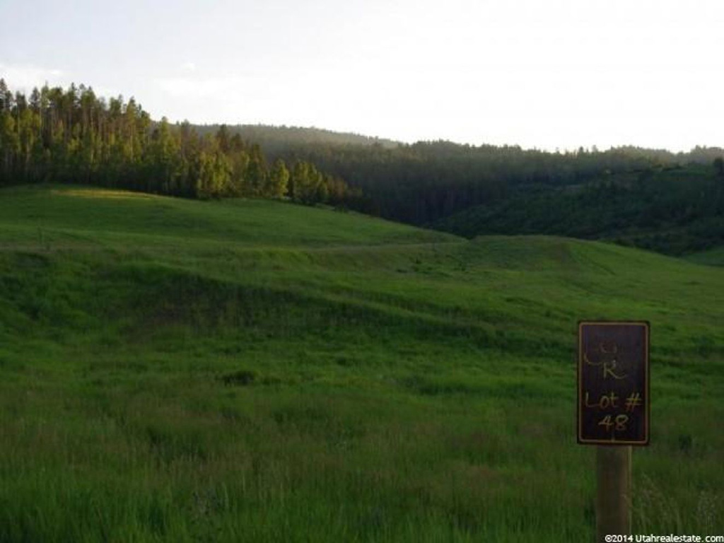 48 Grouse Loop #48, Wayan, ID 83285