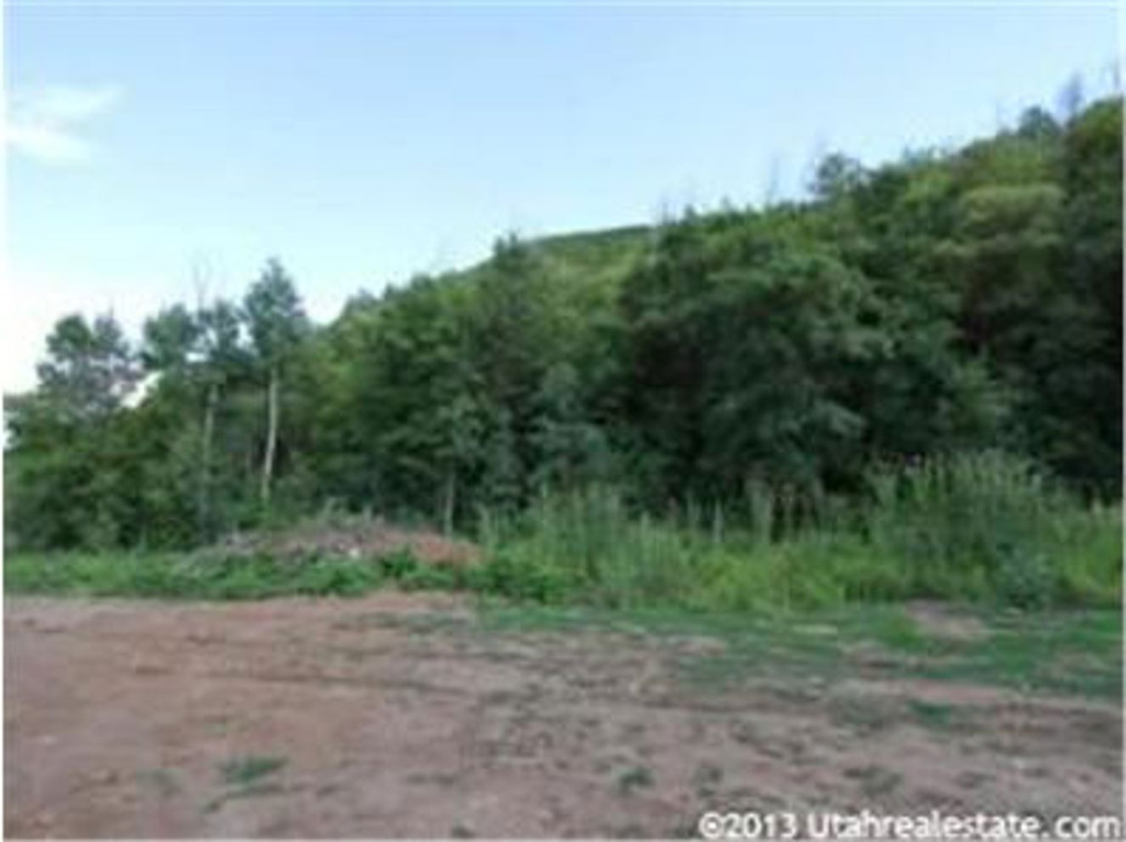 1602 W Valley N, Midway, UT 84049