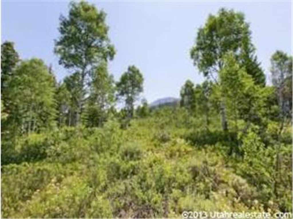 308 Ashley Dr #308, Oakley, UT 84055