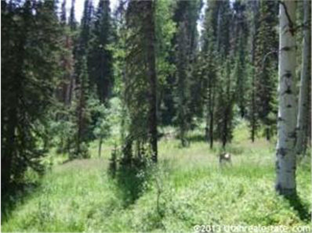 2261 Pine Meadow Dr. #81, Wanship, UT 84017