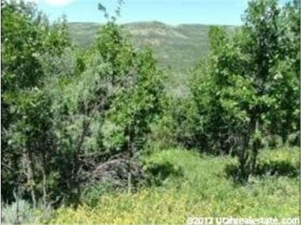 9668 E Ridge S, Heber City, UT 84032