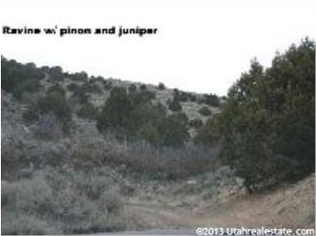 5000 E 21000 N, Moroni, UT 84646