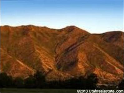 883 N 1600 E, Mapleton, UT 84664