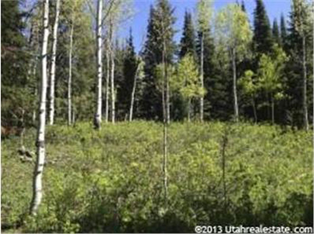 509 S Uinta Dr E #509, Oakley, UT 84055