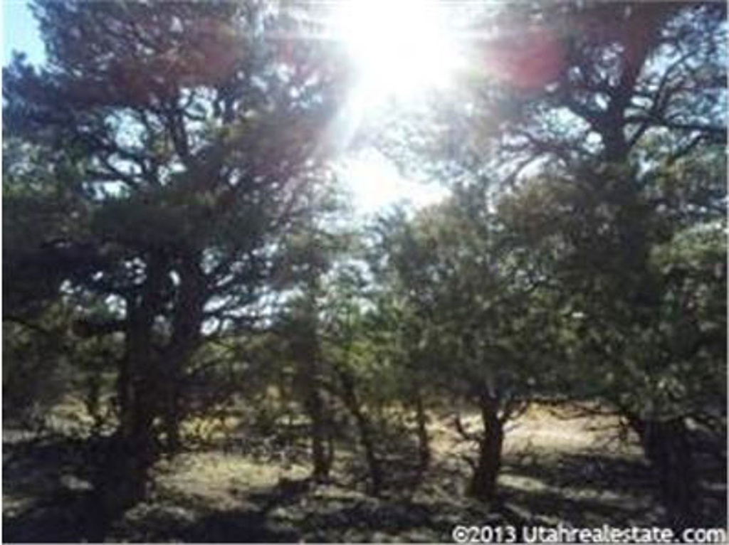 425 N 825 W, Grover, UT 84773