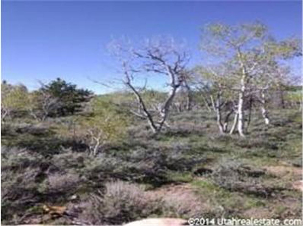 218 Pine Dr, Kamas, UT 84036
