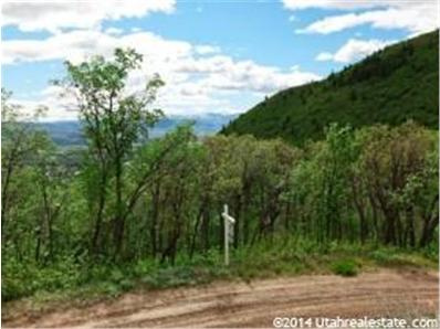 118 Maple Ln, Midway, UT 84049