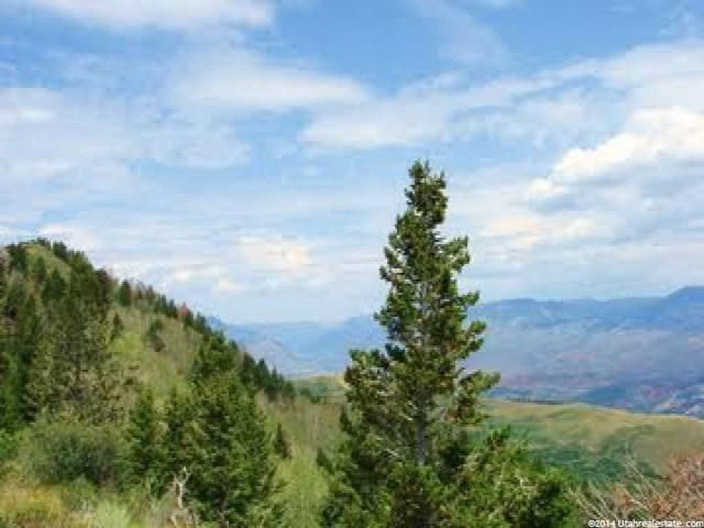 #31, Tabiona, UT 84072