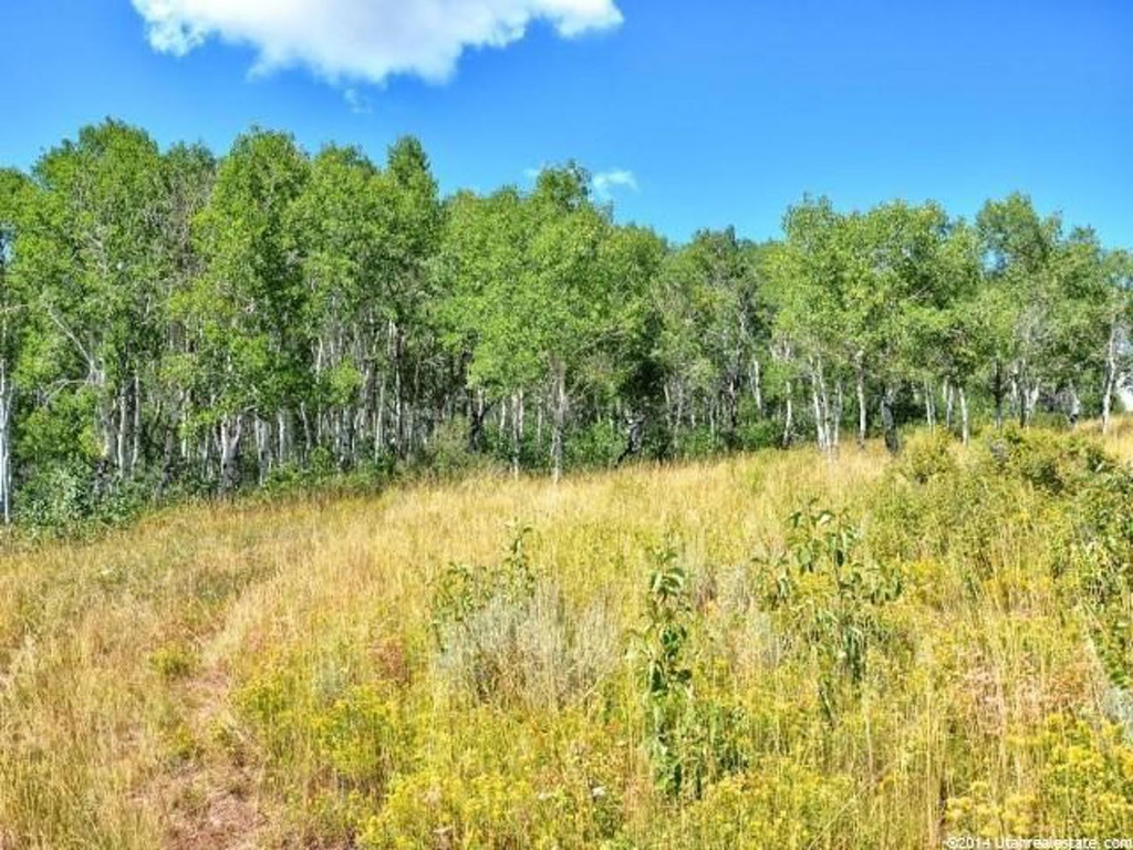 #17, Tabiona, UT 84072