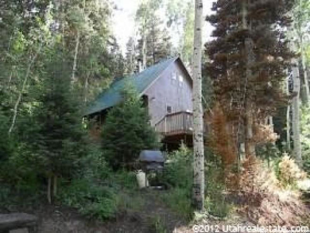 1036 E North Fork Rd, Mt Pleasant, UT 84647