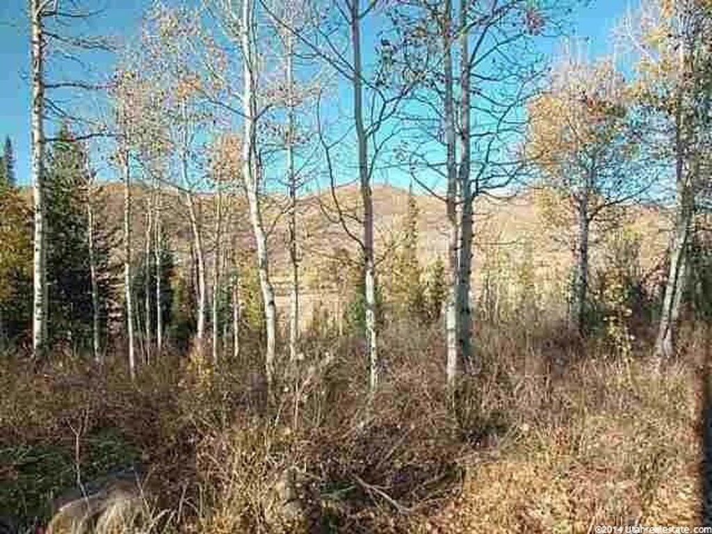 5813 E Uncompahgre Dr #22, Oakley, UT 84055
