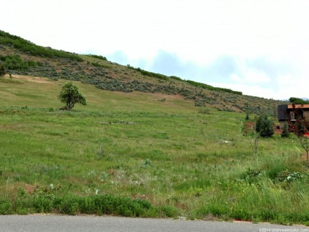 1215 N Interlaken Dr, Midway, UT 84049