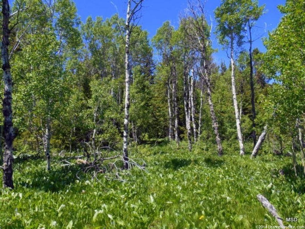 #39, Montpelier, ID 83254