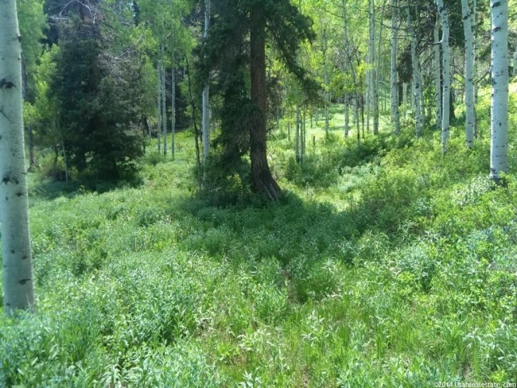 2041 Pine Loop Rd #F-41, Wanship, UT 84017