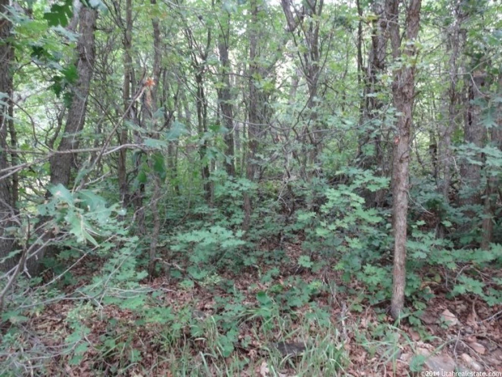#9, Springville, UT 84663