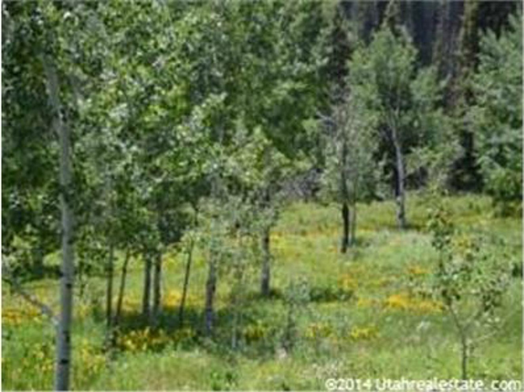 1609 W Navajo Rd S #E64, Wanship, UT 84017