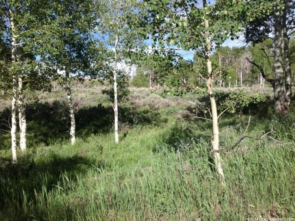 10 Uinta Dr #10-A, Kamas, UT 84036