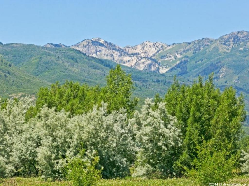 373 E 300 N #3, Midway, UT 84049