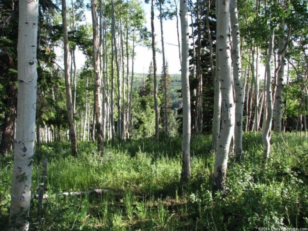 16500 E 33800 N, Fairview, UT 84629