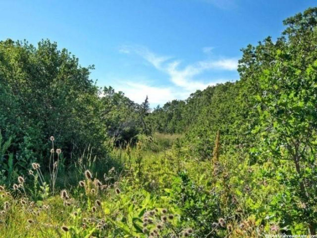 2233 E 5950 N ##1, Liberty, UT 84310