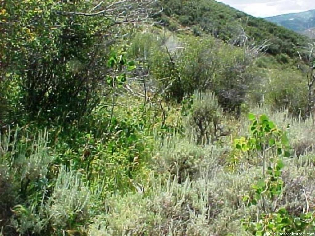 16 E Coyotecanyon Rd #16, Echo, UT 84024