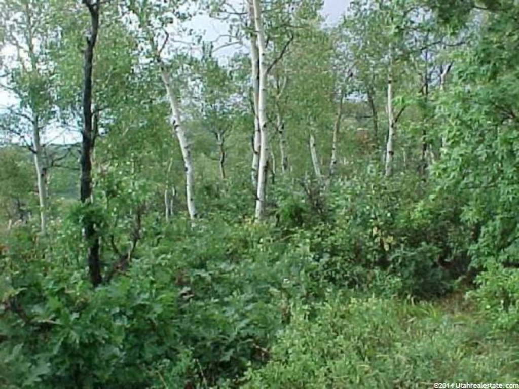 121 Skyline Dr, Echo, UT 84024