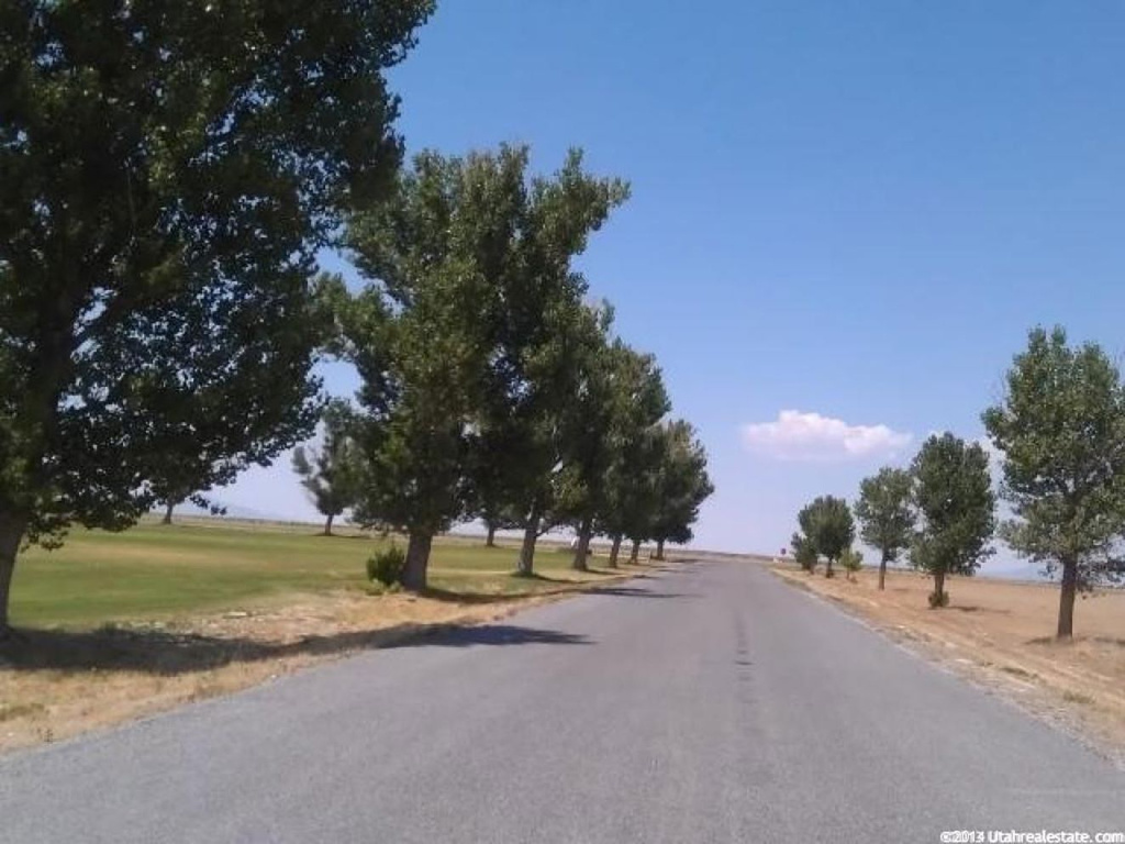 1728 N Eagle Dr. E, Delta, UT 84624
