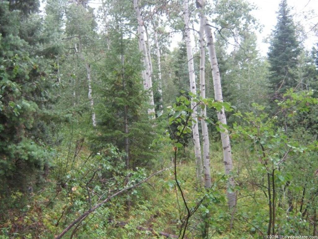 2441 N Hoyts Rd E, Kamas, UT 84036