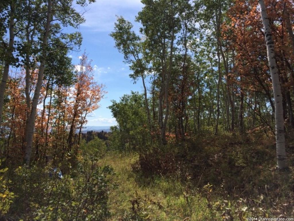2016 River Birch Rd #I-5, Wanship, UT 84017