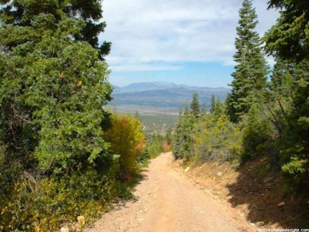 #60, Mt Pleasant, UT 84647